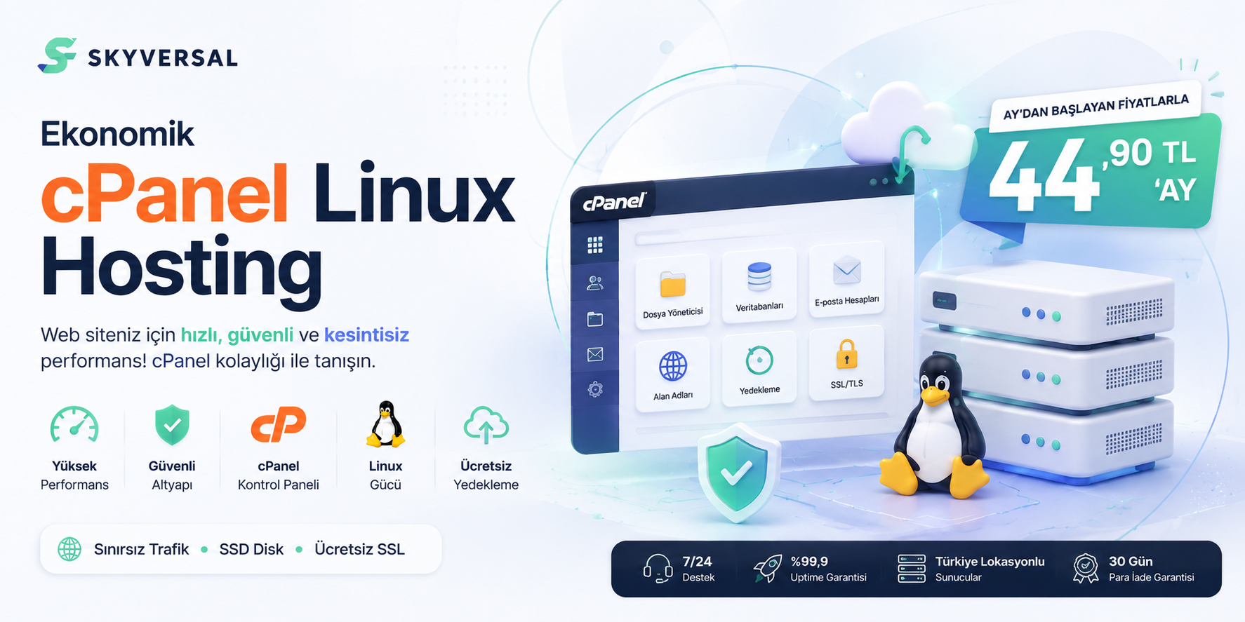 Skyversal cPanel Ekonomik Hosting Arayüzü