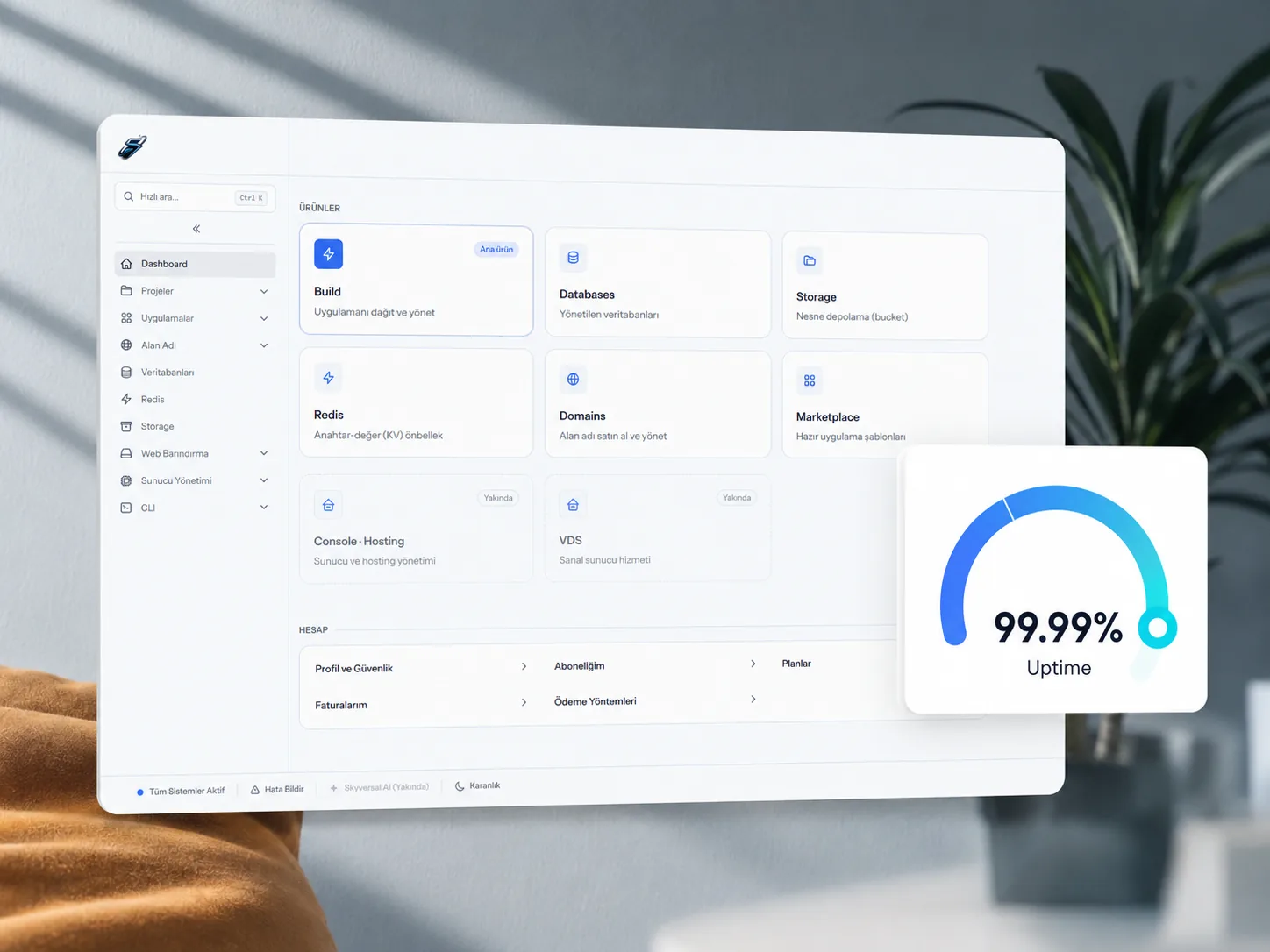 Skyversal web hosting control panel — site and server management with 99.99% uptime
